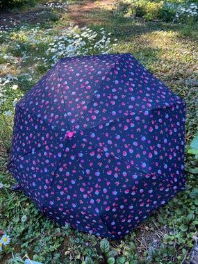 Fulton Floral Umbrella Black with Red and White Flowers